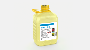 Dash® HC